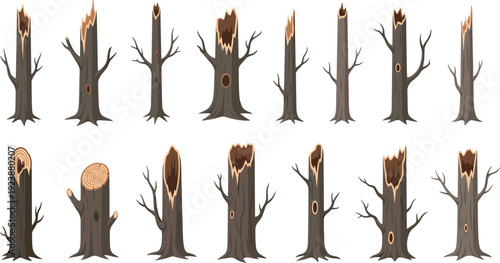 Dead Tree Trunk and Broken Log Collection with Hollow Stump Dry Branches Forest Cartoon Flat Vector Illustration Set Isolated Police Stop