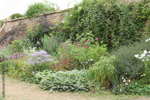 Wallpaper Mural A Large Herbaceous Flower Bed Next to a High Wall. Torontodigital.ca