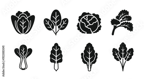 Food and Agriculture Glyph Icons: Black  White Solid Symbols of Leafy Green Vegetables like Lettuce, Cabbage, Spinach for Healthy Eating  Diet Design.