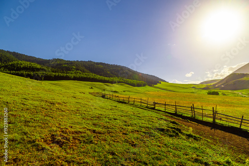 Rolling green hillsides stretch under a clear blue sky. A wooden fence borders a dirt path leading towards a serene forest under bright sunlight.