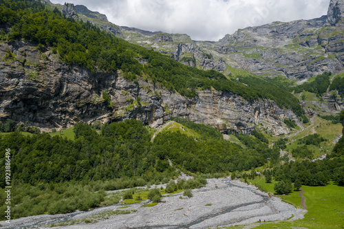 Bild auf Leinwand Expansive green slopes and dense forest rise to meet rugged limestone cliffs in Cirque du Fer-a-Cheval, with a stony riverbed winding through the valley under a bright summer sky