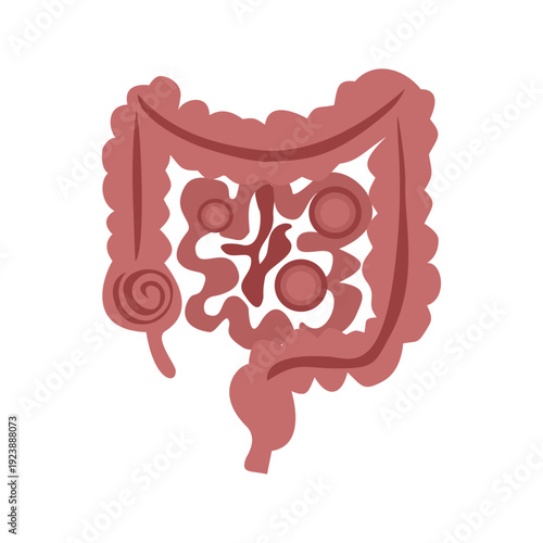 The intestines experience abdominal pain. Symptoms of poisoning, gastritis, gastroenteritis, dyspepsia.