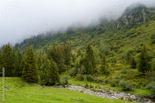 A small rocky river winds through lush alpine meadows and evergreen trees at the base of a mist-covered mountain slope, creating a tranquil and atmospheric landscape.