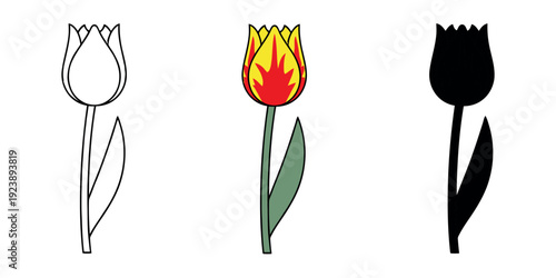 Striking yellow and red flame tulip icons in outline, color, and silhouette styles. Bold bicolor floral vector elements for spring.