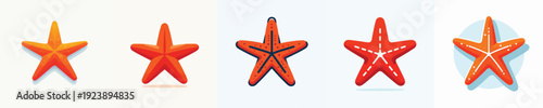 vector of starfish