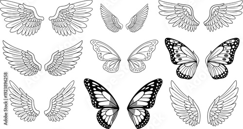 Angel Wings and Butterfly Hand Drawn Outline Collection with Flying Feathered Elements for Tattoo Logo and Fantasy Vector Illustration Set Police Stop