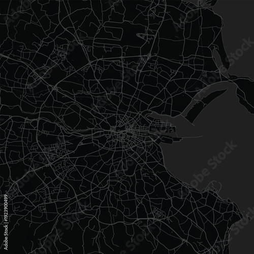 Dublin City Map Precise Blueprint Aesthetics Featuring Crisp Urban Contour Rendering, Suited for Elegant Living Spaces and Sophisticated Office Styling Art, emphasizing refined linework.