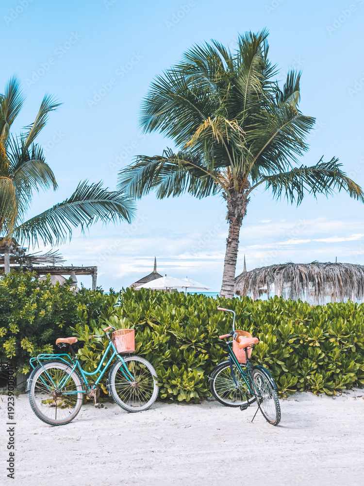 Fototapeta premium Colorful bicycles parked by tropical palm trees and lush greenery near the beach in Holbox, Mexico.