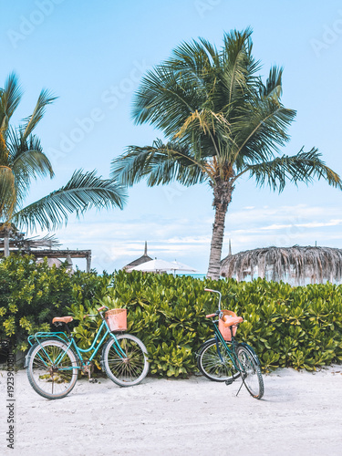 Colorful bicycles parked by tropical palm trees and lush greenery near the beach in Holbox, Mexico.