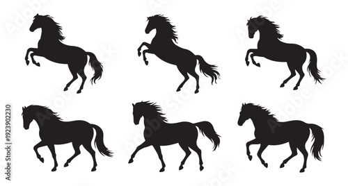 Set of six horse silhouettes showing different movements and poses black and white vector