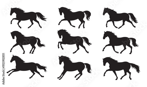 Dynamic horse silhouettes in motion featuring trotting and galloping stallions for equestrian sport logos