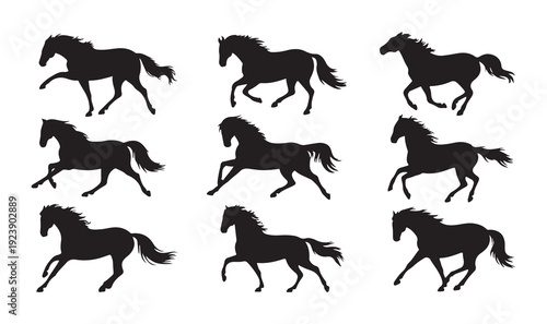 Horse silhouettes in full gallop featuring powerful stallions and wild mustangs for creative design work