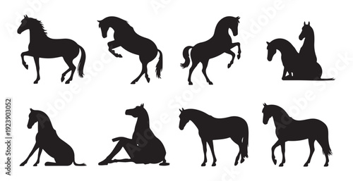 Set of eight black horse silhouettes depicting various dynamic and resting poses on white background