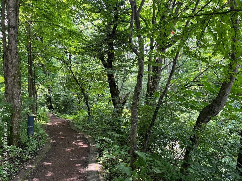 Obraz premium scenery in Karuizawa, Nagano, Japan