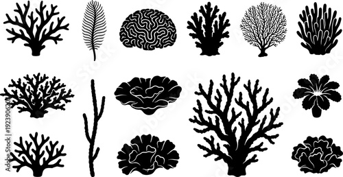 Coral reef silhouette set, underwater sea coral collection, marine ocean plants, black vector illustration isolated design elements bundle