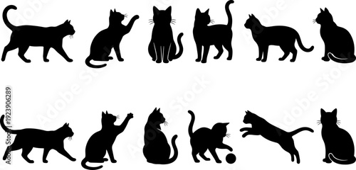 Cat silhouette set, domestic kitten poses collection, black feline vector illustration isolated pet animal design elements bundle