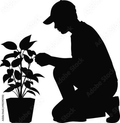 Black vector silhouette of a male gardener wearing a cap kneeling and tending to a leafy potted plant for gardening landscaping and nature branding