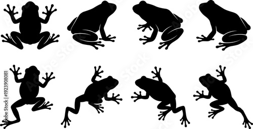 Tree frog silhouettes set, climbing and sitting amphibian collection isolated vector illustration for wildlife nature animal design elements pack