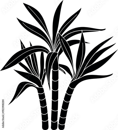 Black silhouette of sugarcane (Saccharum officinarum) isolated on white background