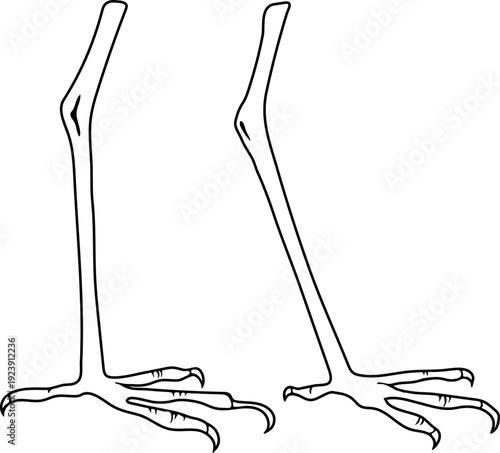 Coloring page with heron's legs	