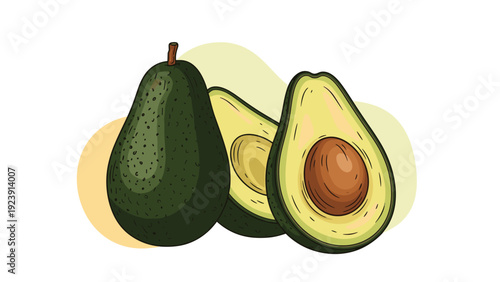 Realistic illustration of a whole dark green avocado alongside two ripe halves showing the large brown pit and creamy center.