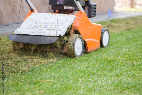 Foto Scarification and aeration of the lawn with a scarifier