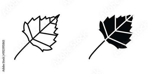 Birch leaf icon graphic design vector symbols. Best for Graphics