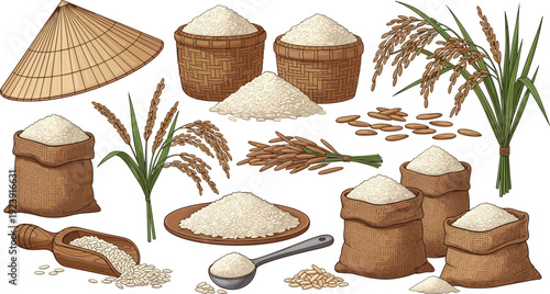 Rice harvest collection vector. Paddy plants, grain sacks, woven baskets and bamboo hat. Traditional agriculture food illustration isolated on transparent background.