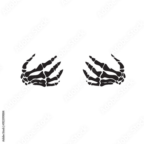 butterfly on white background