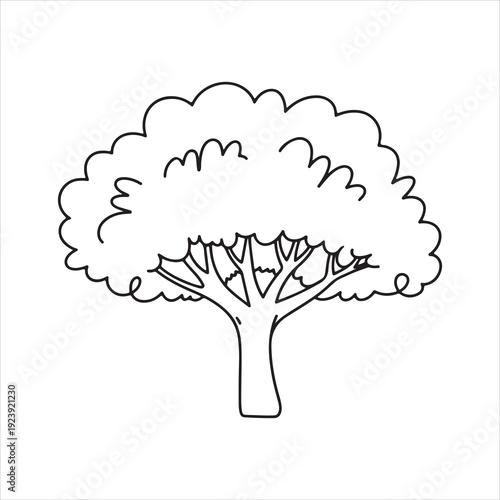 Canvas-taulu Single line art drawing of broadleaf tree nature minimal vector illustration