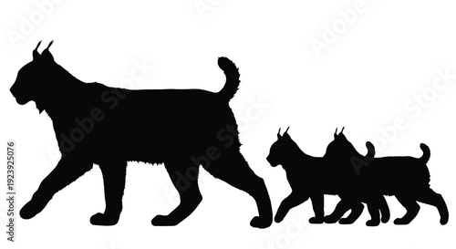 Lynx Family Silhouettes Mother Cubs