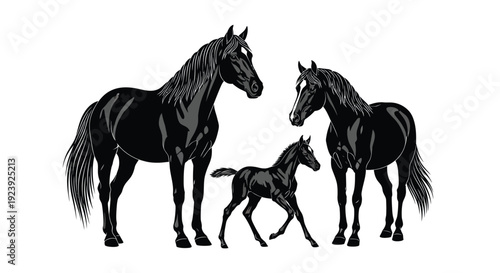 Horse Family Silhouettes Mare Foal