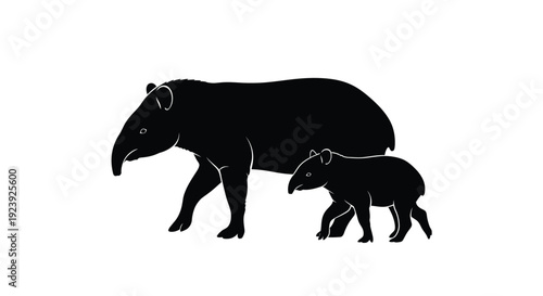 Tapir Family Silhouettes Mother Calf