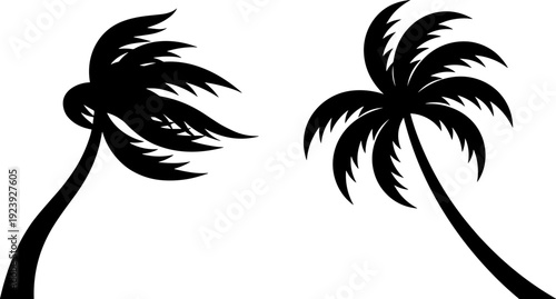 Palm tree silhouettes collection, tropical coconut palm design elements, black palm silhouette isolated illustration set for design