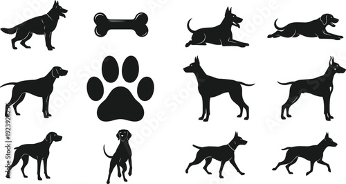 Dog silhouette collection with different poses, paw print and bone icon, pet animal vector set isolated on white background illustration
