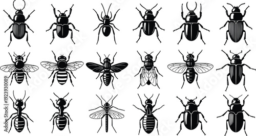 Insect silhouette collection with beetles, bees, flies and ants, detailed bug shapes isolated on white background, black vector illustration set