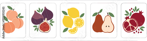 Minimalist hand drawn fruit vector collection with peach fig lemon pear and pomegranate illustrations for organic food packaging and healthy kitchen decor
