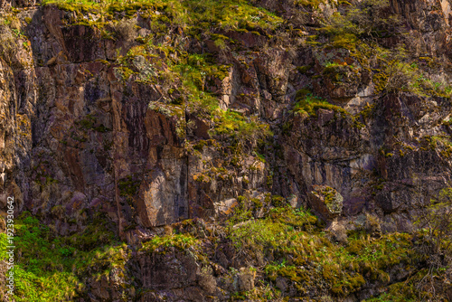Rugged rock face adorned with vibrant green moss and various plants in a natural mountainous setting. Daylight enhances earthy textures and colors, creating a serene outdoor scene.