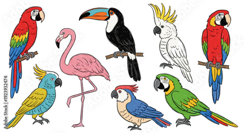 Vibrant Assortment of Tropical Birds: Parrots Toucan Cockatoo and Flamingo