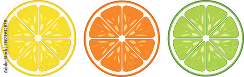 Fresh citrus fruit slices set featuring yellow lemon orange and green lime cross sections isolated on white background flat vector illustration.