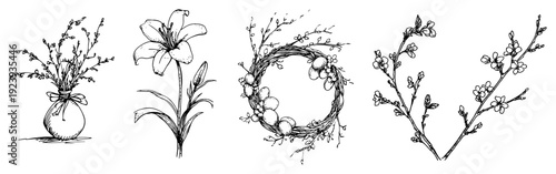 Spring floral set with willow branches and lily flower sketch