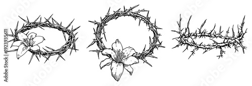 Three crowns of thorns with lily flowers and sharp spikes sketch