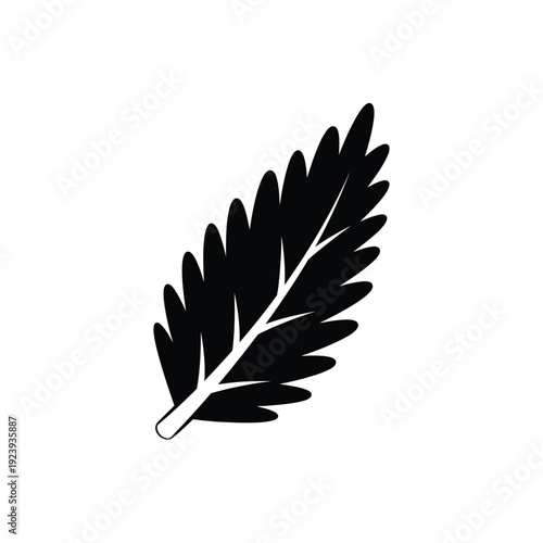 Black silhouette of a feather white background