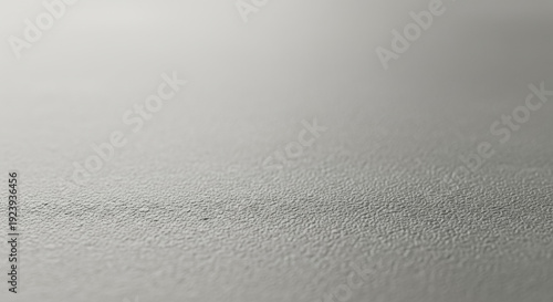 Light gray textured surface with a subtle gradient and soft focus, providing a modern and clean abstract background for various design projects.