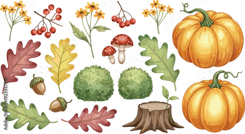 Watercolor autumn harvest set with orange pumpkins oak leaves acorns red berries mushrooms and yellow flowers for fall botanical designs and thanksgiving decor.