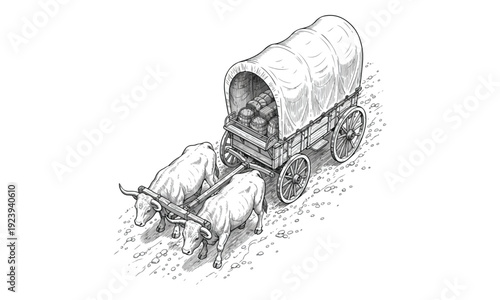 Covered Wagon Pulled by Oxen with Barrels on a Dirt Road, Historical
