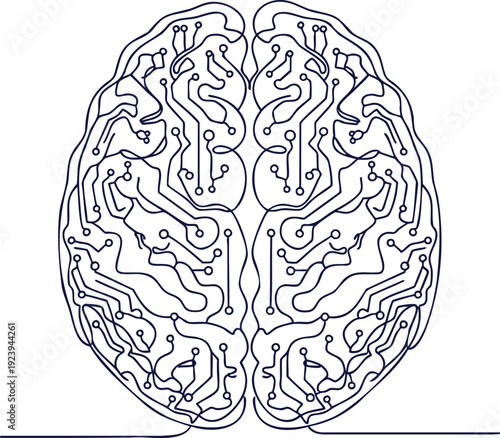An intricate illustration of a human brain viewed from the top, showcasing detailed neural pathways and structures.