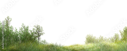 Slika na platnu green grass background/Fresh green grass field with trees isolated on white background, panoramic nature landscape with copy space for design and commercial use