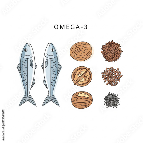 Minimalist Vector Illustration of Omega-3 Healthy Foods: Fish, Walnuts, Flax, Chia in Flat Design