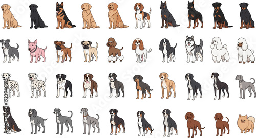 Vector dog breeds cartoon illustration featuring Labrador, German Shepherd, Beagle, Dalmatian, Husky, Poodle, Rottweiler, Boxer, and more in grid